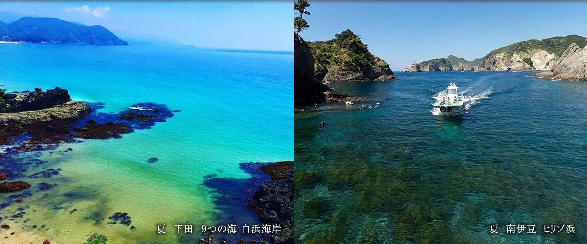 夏 下田 9つの海 白浜海岸 夏 南伊豆 ヒリゾ浜